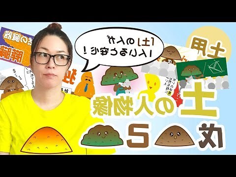 五行 土 性格